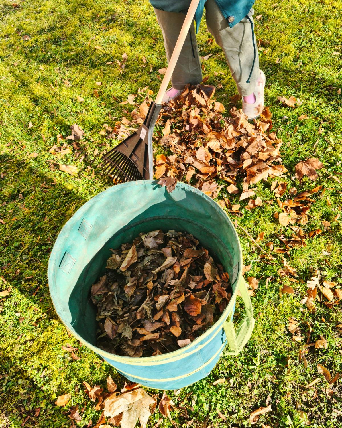 Seniorenzentrum Bergkristall: Der Frühling Ist Da