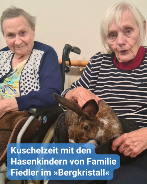 Zwei ältere Damen im Rollstuhl sitzen nebeneinander und schauen ganz begeistert in die Kamera. Auf ihrem Schoß sitzen Hasen und werden gestreichelt. Bildbeschriftung: Kuschelzeit mit den Hasenkindern von Familie Fiedler