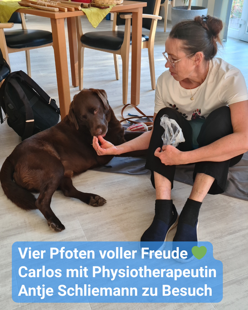 Brauner Labrador liegt auf dem Boden, und daneben sitzt sein Frauchen, welches ihm ein Leckerli gibt. Bildbeschriftung: „Vier Pfoten voller Freude: Carlos mit Physiotherapeutin Antje Schliemann zu Besuch“